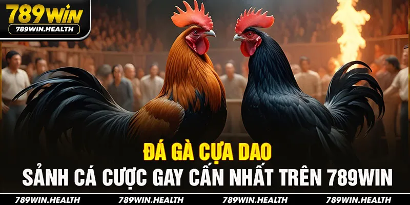 Đá Gà Cựa Dao - Sảnh Cá Cược Gay Cấn Nhất Trên 789win